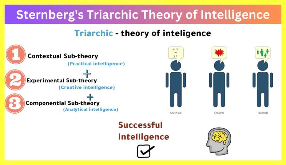 Triarchic-Theory-Of-Intelligence-Notes-In-Hindi