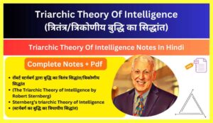 Triarchic-Theory-Of-Intelligence-Notes-In-Hindi